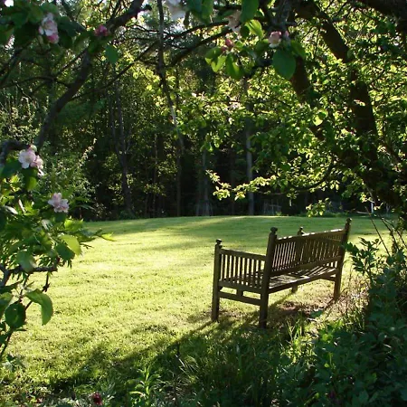 Courtyard * Battersby